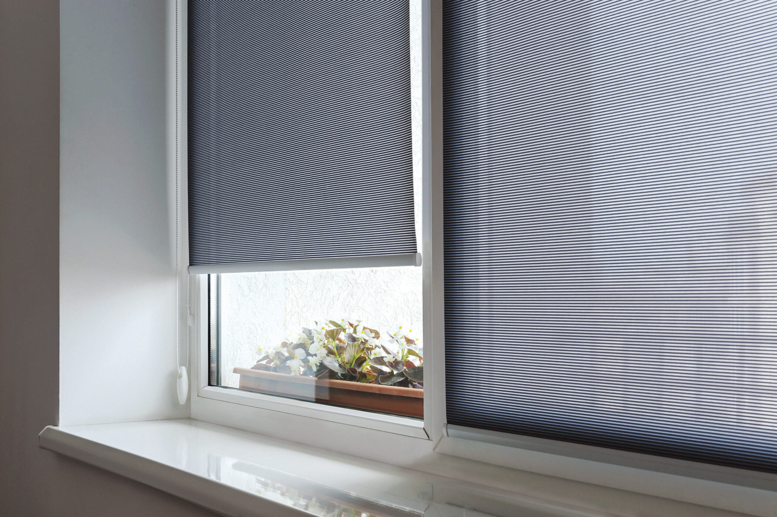 Fenster Steidler günstiger Insektenschutz